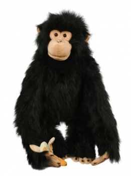 TPC CHIMP Large Primate