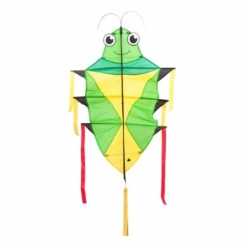 WD Flapping Bertie Beetle Kite 